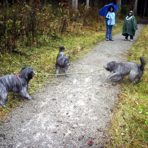 28 Florian im Allgäu im Oktober 2008